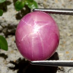 Rubino stellato Rosso violaceo naturale da 9.09 ct, Taglio ovale, Opaco