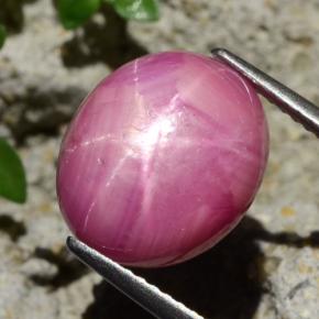 Rubino stellato Rosso violaceo naturale da 9.09 ct, Taglio ovale, Opaco