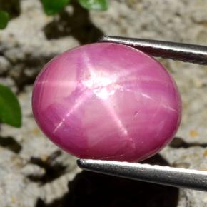 Rubino stellato Rosso violaceo naturale da 9.09 ct, Taglio ovale, Opaco