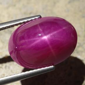 Rubino stellato Rosso violaceo naturale da 15.65 ct, Taglio ovale, Opaco