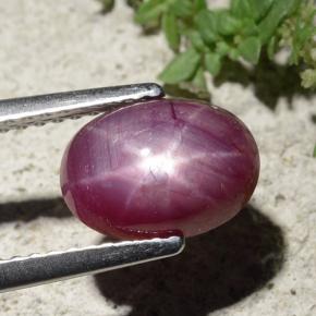 Rubino stellato naturale rosso da 2,68 ct, taglio ovale, opaco