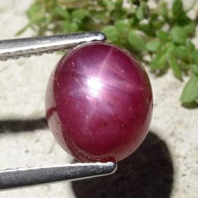 Rubino stellato naturale rosso da 5,01 ct, taglio ovale, opaco