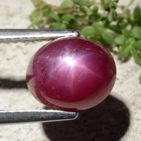 Rubino stellato naturale rosso da 5,01 ct, taglio ovale, opaco