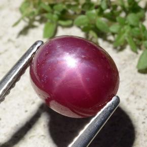 Rubino stellato naturale rosso da 5,01 ct, taglio ovale, opaco