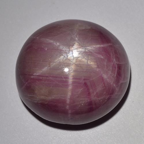 Rubino stellato naturale porpora da 33,48 ct, taglio ovale, opaco