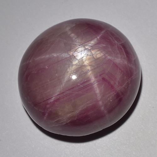 Rubino stellato naturale porpora da 33,48 ct, taglio ovale, opaco