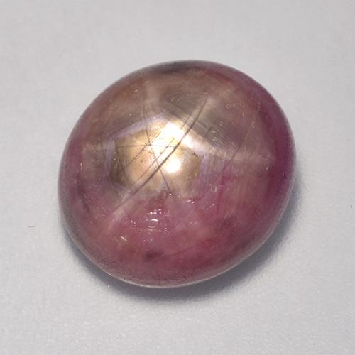 Rubino Stellato Viola rossastro naturale da 9.74 ct, Taglio ovale, Opaco