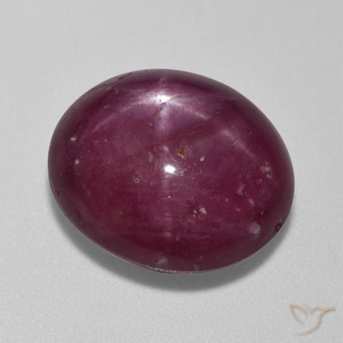 13.67ct Naturale Rosso scuro Rubino stellato, Ovale, Opaco
