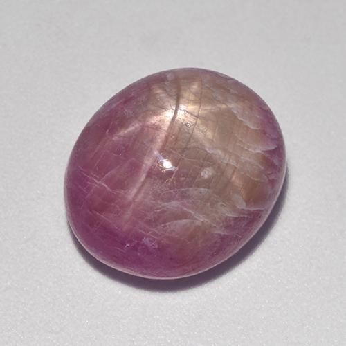 Rubino Stellato sanguinamento naturale da 8.91 ct, Taglio ovale, Opaco