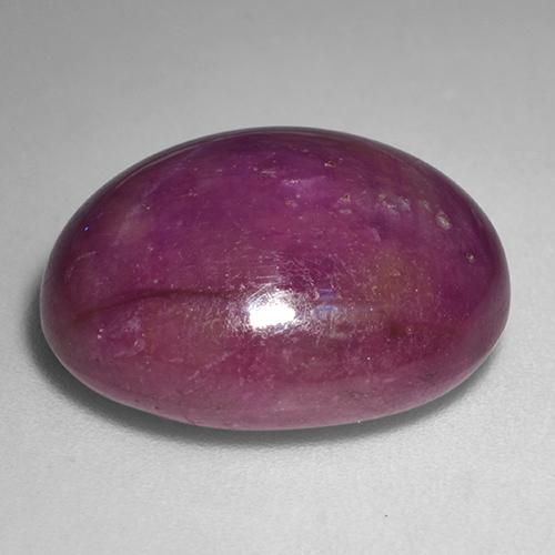 Rubino stellato Rosso scuro naturale da 24.57 ct, Taglio ovale, Opaco