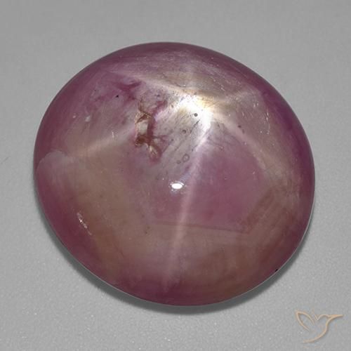 Rubino Stellato Viola medio-chiaro naturale da 31.80 ct, Ovale, Opaco