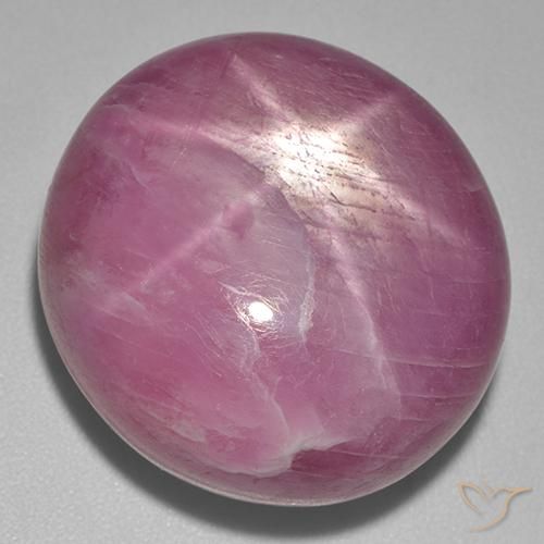 56.00ct Naturale Medium Dark-Purple Rubino stellato, Ovale, Opaco