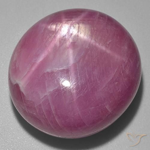 Rubino Stellato Medium Dark-Purple naturale da 56.00 ct, Ovale, Opaco