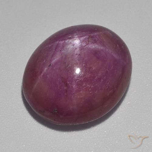 15.55ct Naturale Viola medio-scuro Rubino stellato, Ovale, Opaco