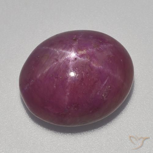 13.70ct Naturale Viola medio-scuro Rubino stellato, Ovale, Opaco