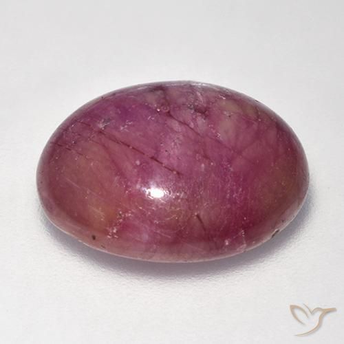 Rubino Stellato Viola medio-chiaro naturale da 16.94 ct, Ovale, Opaco