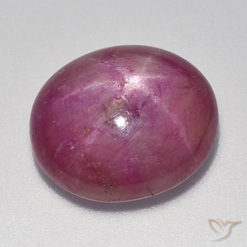 16.49ct Naturale Viola medio-chiaro Rubino stellato, Ovale, Opaco