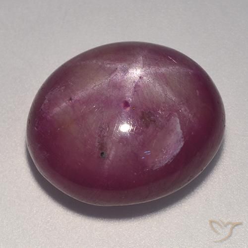 Rubino Stellato Prugna Viola naturale da 20.08 ct, Ovale, Opaco