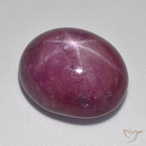 Rubino stellato Viola medio-scuro naturale da 17.36 ct, Taglio ovale, Opaco
