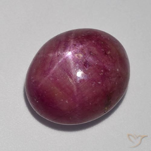 Rubino Stellato Viola medio-scuro naturale da 14.52 ct, Ovale, Opaco