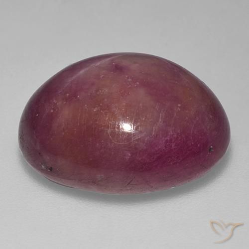 Rubino Stellato Viola medio-scuro naturale da 18.74 ct, Ovale, Opaco