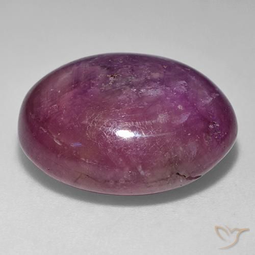 Rubino Stellato Viola medio-scuro naturale da 24.29 ct, Ovale, Opaco