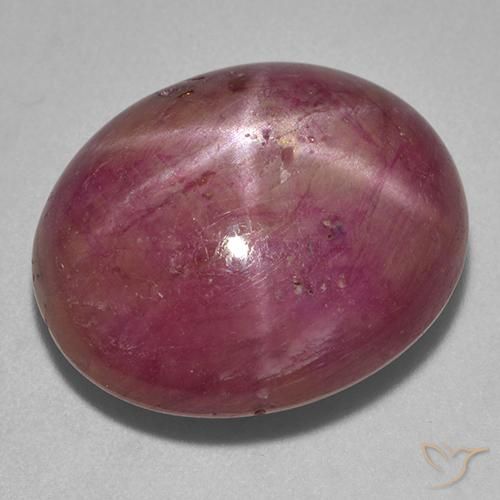 23.05ct Naturale Viola rossastro Rubino stellato, Ovale, Opaco