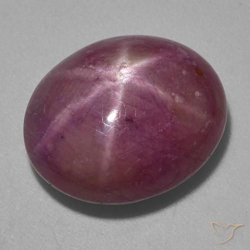 13.87ct Naturale Viola medio-scuro Rubino stellato, Ovale, Opaco