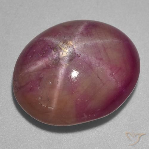 13.67ct Naturale Prugna Viola Rubino stellato, Ovale, Opaco