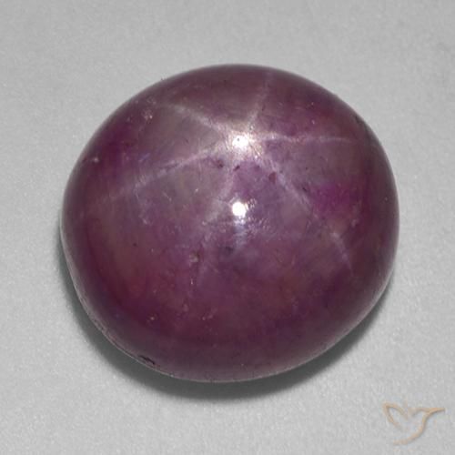 Rubino Stellato Prugna Viola naturale da 15.13 ct, Ovale, Opaco
