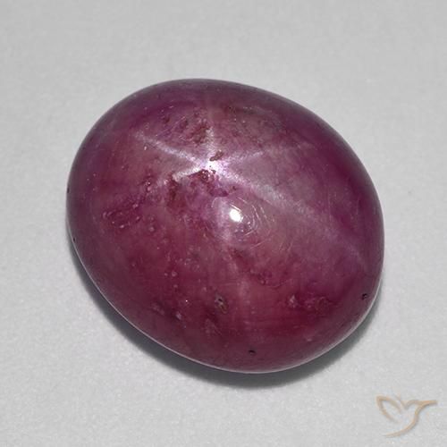 Rubino Stellato Prugna Viola naturale da 12.54 ct, Ovale, Opaco