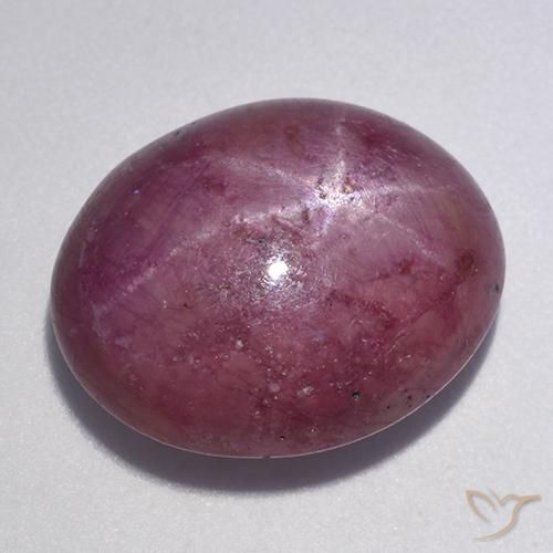 Rubino Stellato Viola medio-scuro naturale da 12.56 ct, Ovale, Opaco
