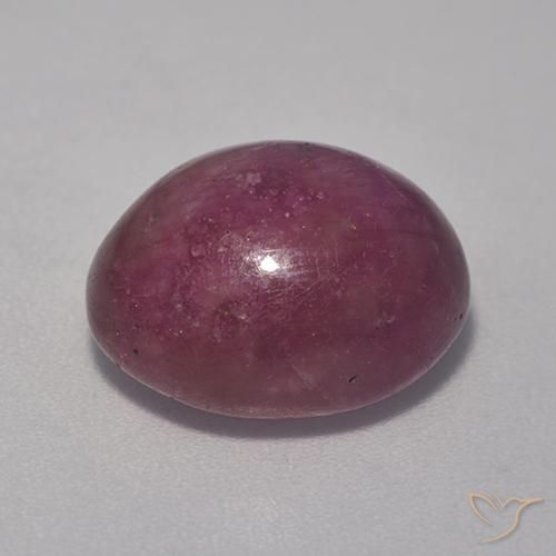 Rubino Stellato Prugna Viola naturale da 10.98 ct, Ovale, Opaco