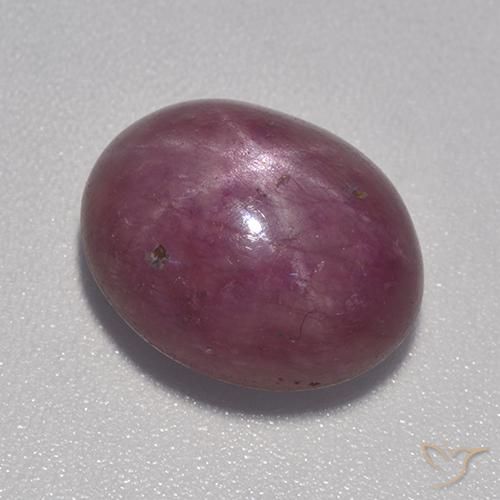 Rubino Stellato Prugna Viola naturale da 9.03 ct, Ovale, Opaco
