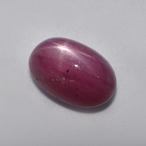 Rubino stellato naturale porpora da 5,49 ct, taglio ovale, opaco