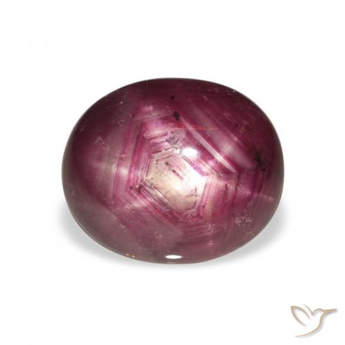 5.69ct Naturale Medium Dark-Purple Rubino Stellato, Ovale, Opaco