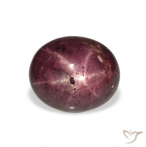 9.90ct Naturale Viola rossastro Rubino Stellato, Ovale, Opaco