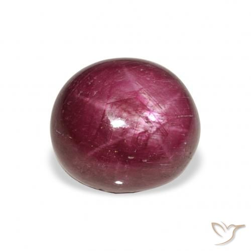 9.87ct Naturale Medium Dark-Purple Rubino Stellato, Ovale, Opaco