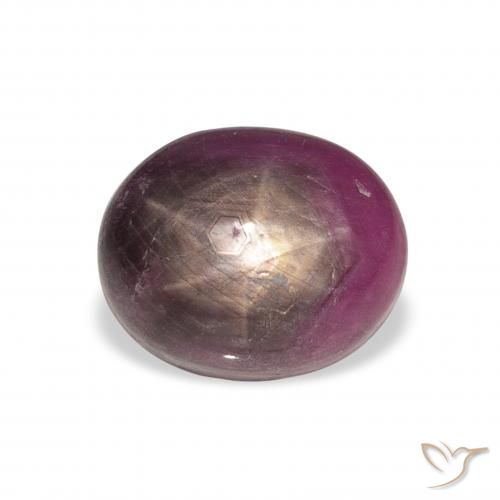 9.04ct Naturale Viola rossastro Rubino Stellato, Ovale, Opaco