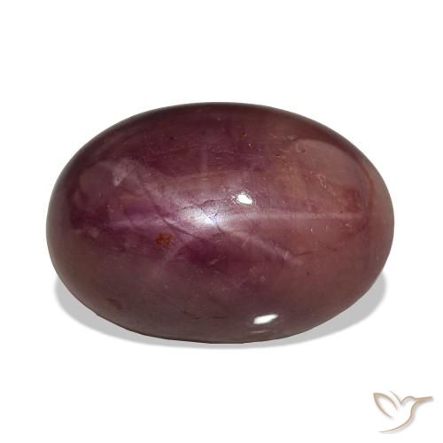 15.06ct Prugna Viola Rubino Stellato, Ovale, Opaco