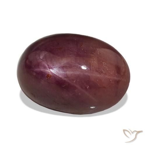Rubino Stellato Prugna Viola naturale da 15.06 ct, Ovale, Opaco