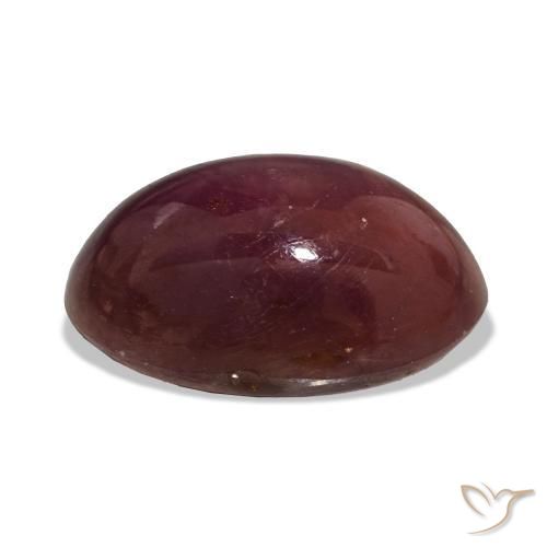 Rubino Stellato Prugna Viola naturale da 15.06 ct, Ovale, Opaco