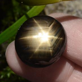 Zaffiro stellato naturale nero da 30,49 ct, taglio ovale, opaco