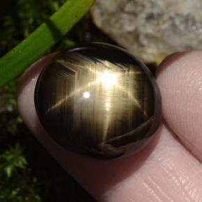 Zaffiro stellato naturale nero da 30,49 ct, taglio ovale, opaco