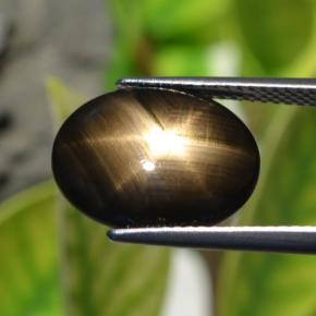 Zaffiro stellato naturale nero da 6,32 ct, taglio ovale, opaco