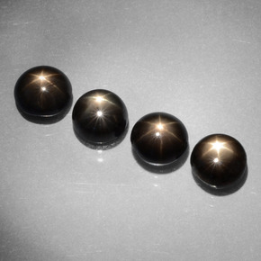 Gemme di Zaffiro stellato Nero naturale da  ct, Taglio rotondo, Opaco