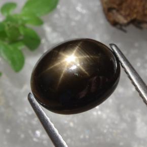 Zaffiro stellato naturale nero da 4,91 ct, taglio ovale, opaco