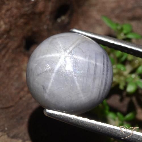 10.97ct Naturale Grigio chiaro Zaffiro stellato, Rotondo, Opaco