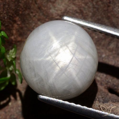 8.80ct Naturale Grigio molto chiaro Zaffiro stellato, Rotondo, Opaco