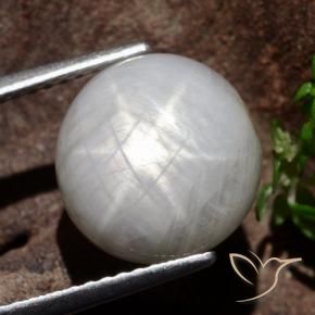 Zaffiro stellato Grigio molto chiaro naturale da 8.80 ct, Rotondo, Opaco